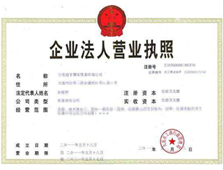 营业执照示例